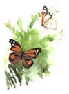 waterc_a.jpg (81636 bytes)
