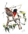 waterc_e.jpg (104841 bytes)