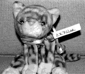 caterpillar.gif (19,216 bytes)