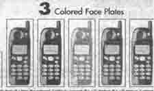 coloredface.jpg (8807 bytes)