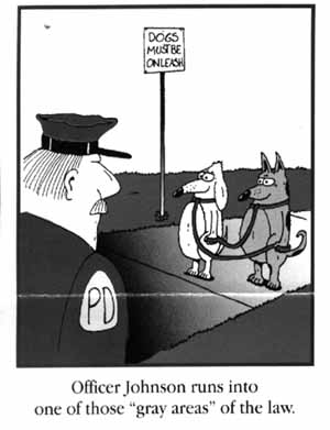 dogs.jpg (14746 bytes)