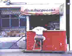 hamburguesa.jpg (3884 bytes)