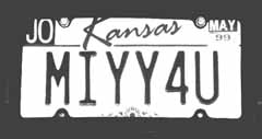 license.jpg (4539 bytes)