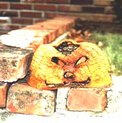 pumpkin.jpg (11214 bytes)